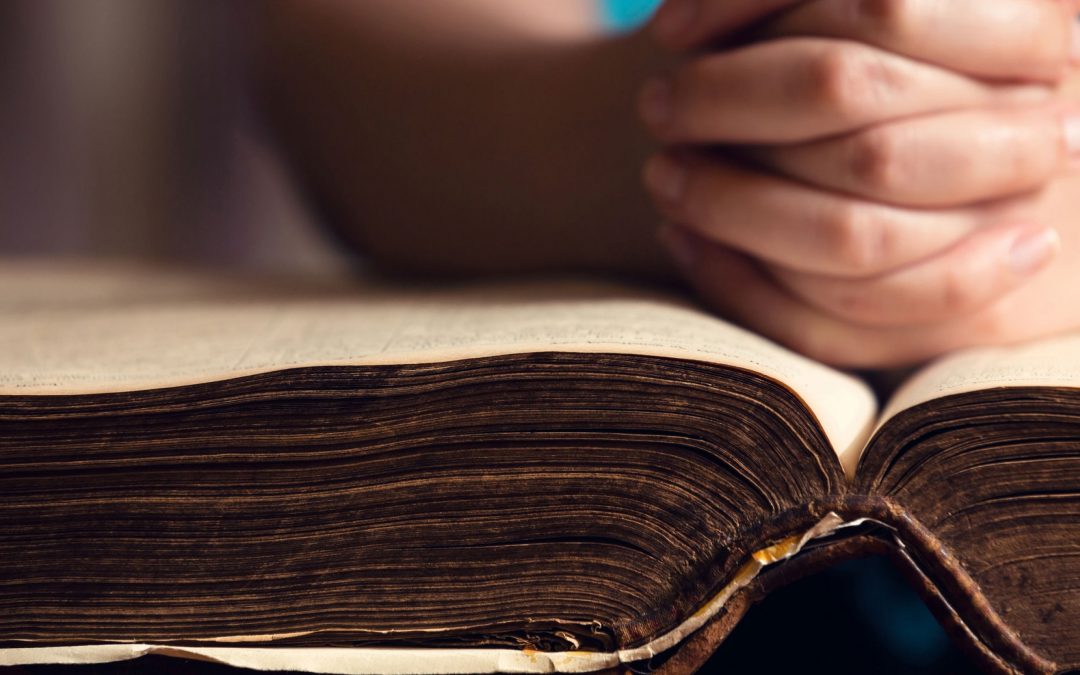 Los jóvenes y la Palabra de Dios: propuestas para el camino