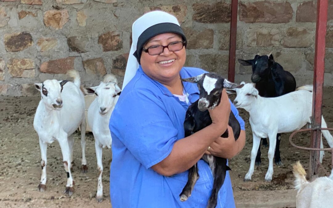 «Sueño que mi comunidad sea un oasis en este lugar remoto» (Sor Irene, Kenia)